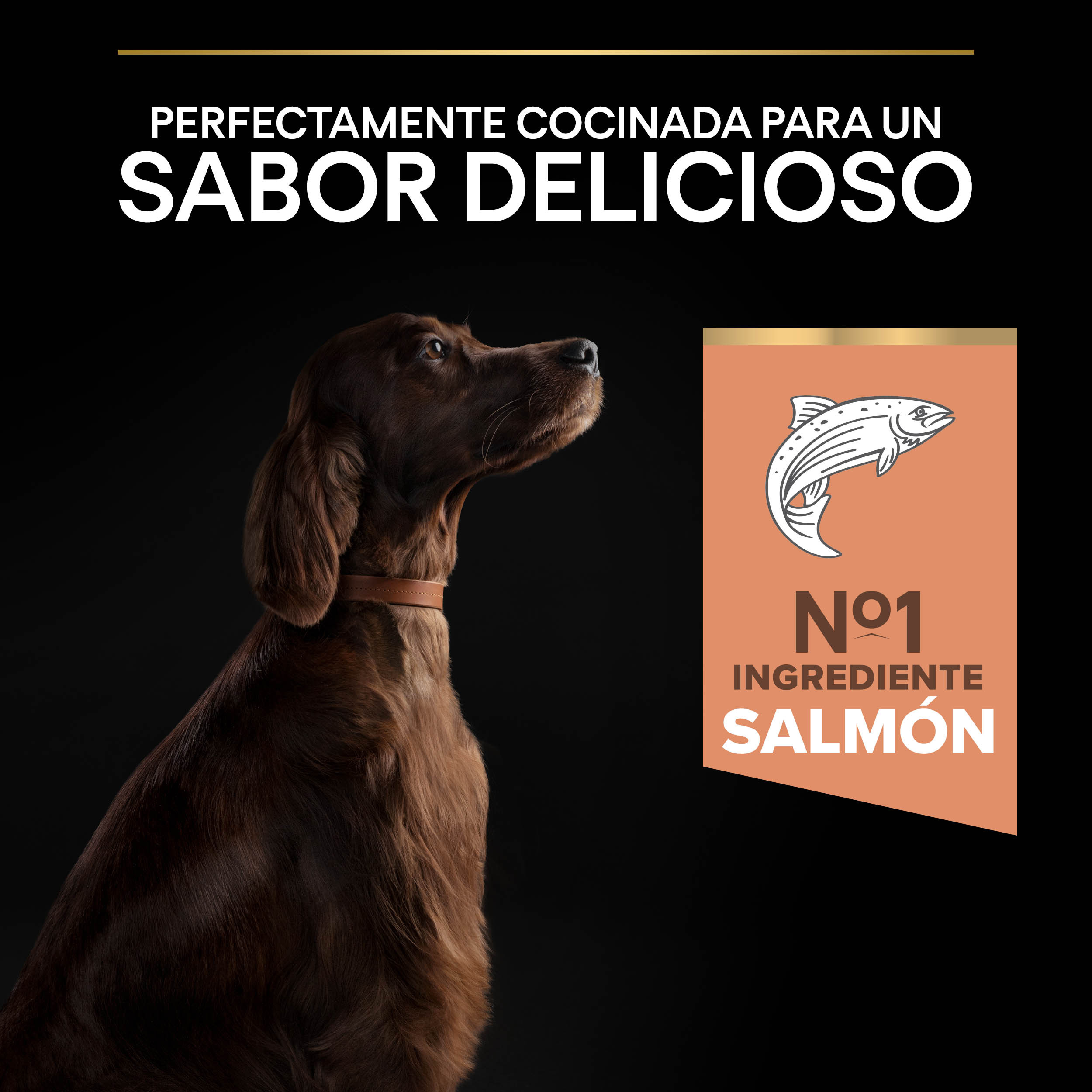 PURINA® PRO PLAN® Large Atheltic Adult SENSITIVE SKIN Salmón - Imagen 4