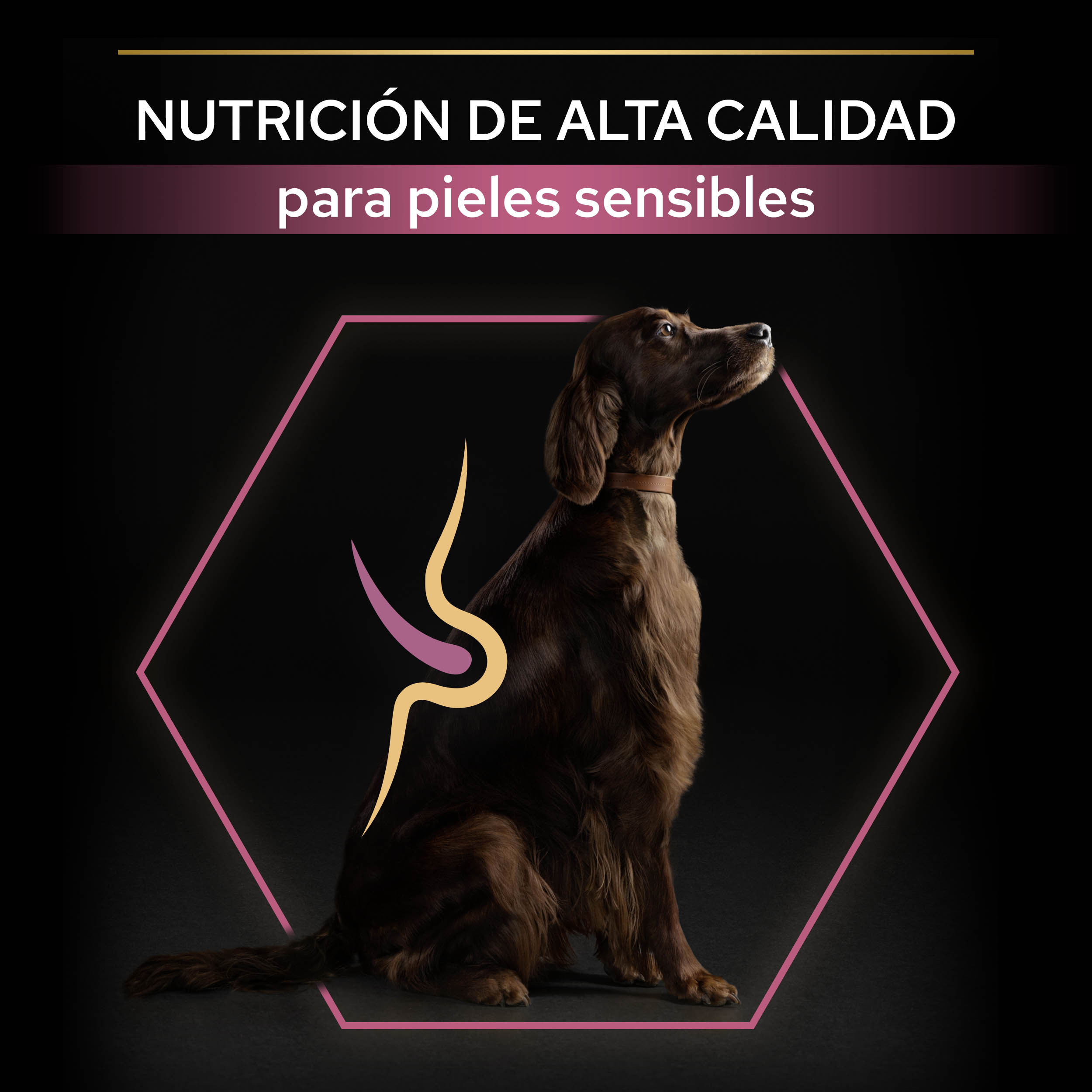 PURINA® PRO PLAN® Large Atheltic Adult SENSITIVE SKIN Salmón - Imagen 3
