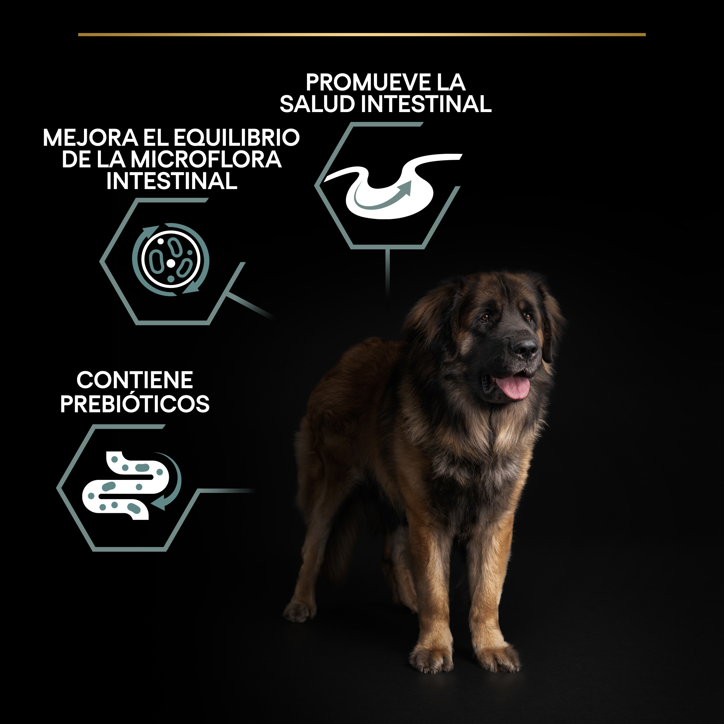 PURINA® PRO PLAN® Large Robust SENSITIVE DIGESTION Cordero - Imagen 9