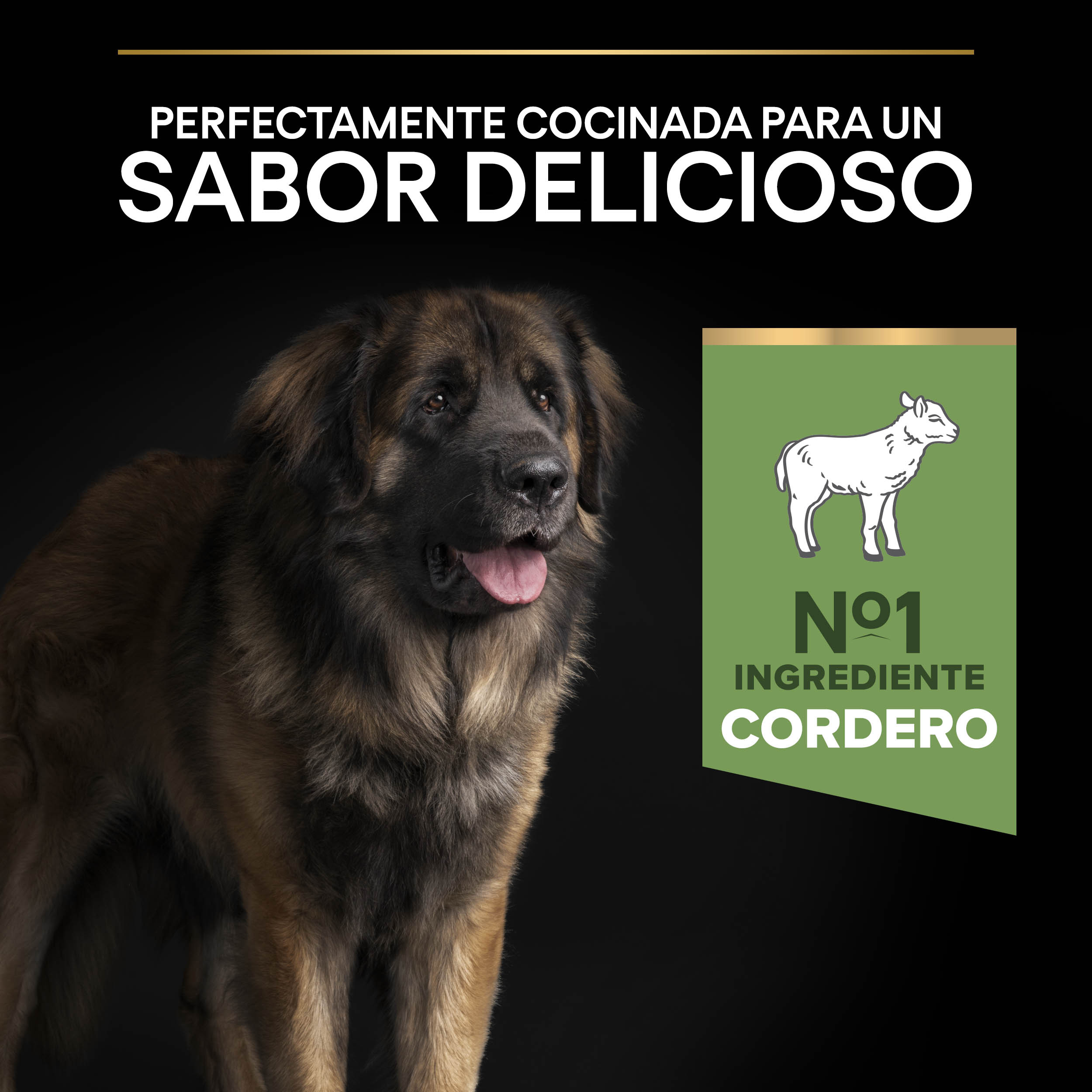 PURINA® PRO PLAN® Large Robust SENSITIVE DIGESTION Cordero - Imagen 5