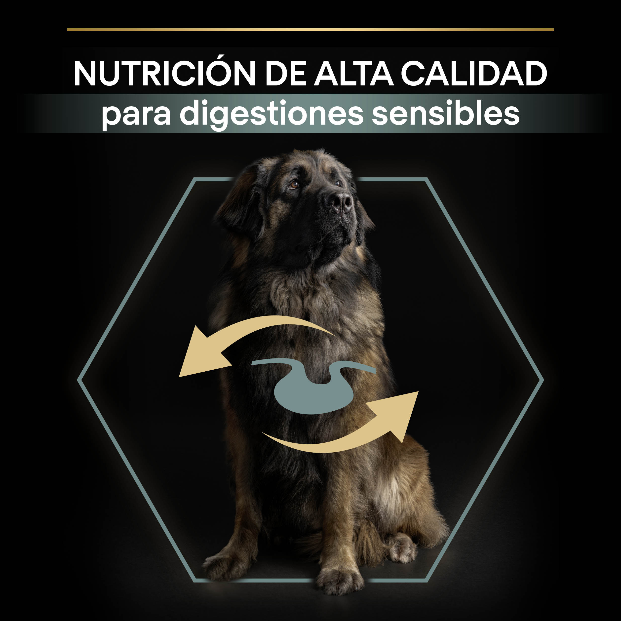 PURINA® PRO PLAN® Large Robust SENSITIVE DIGESTION Cordero - Imagen 4