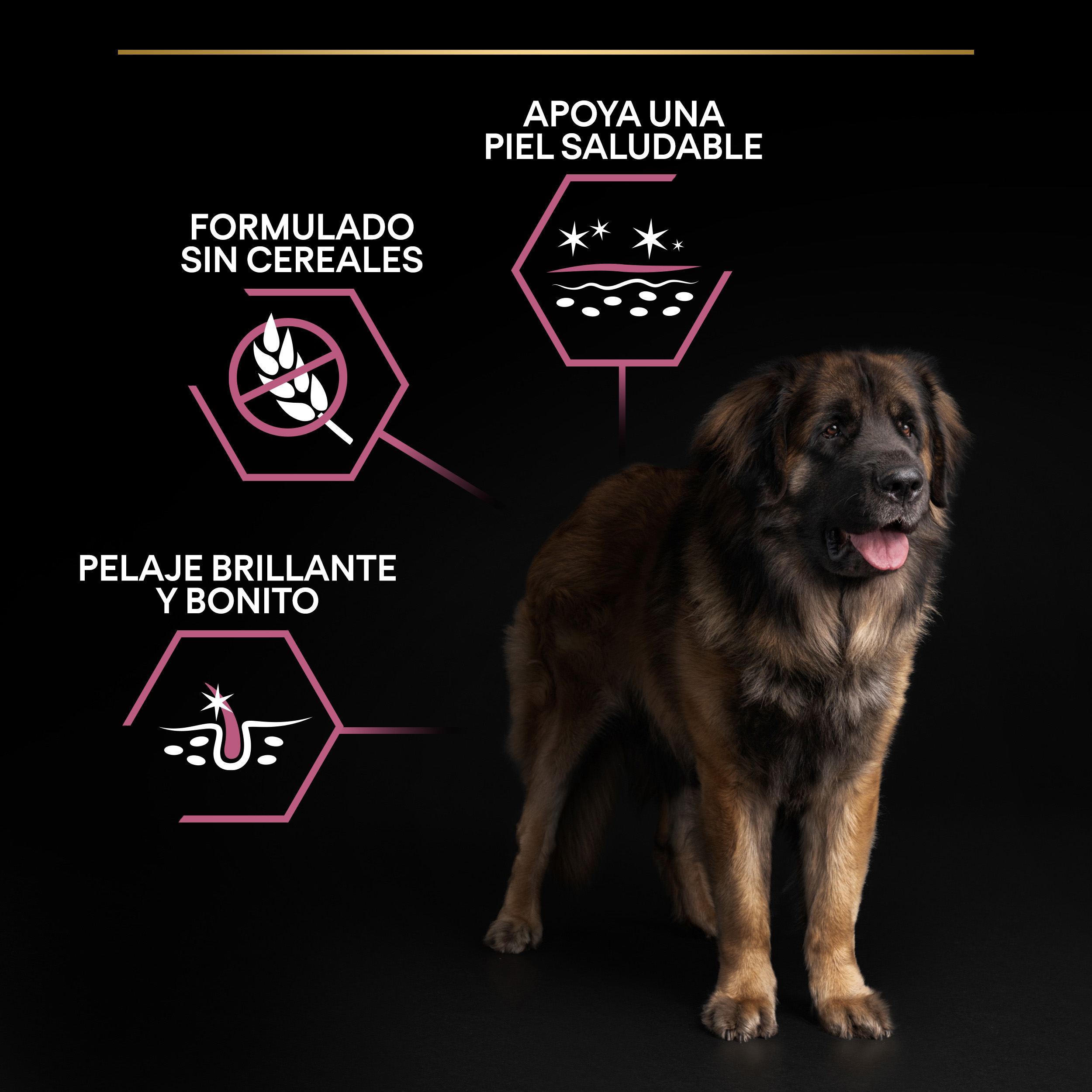 PURINA® PRO PLAN® Large Robust Adult SENSITIVE SKIN Salmón - Imagen 9