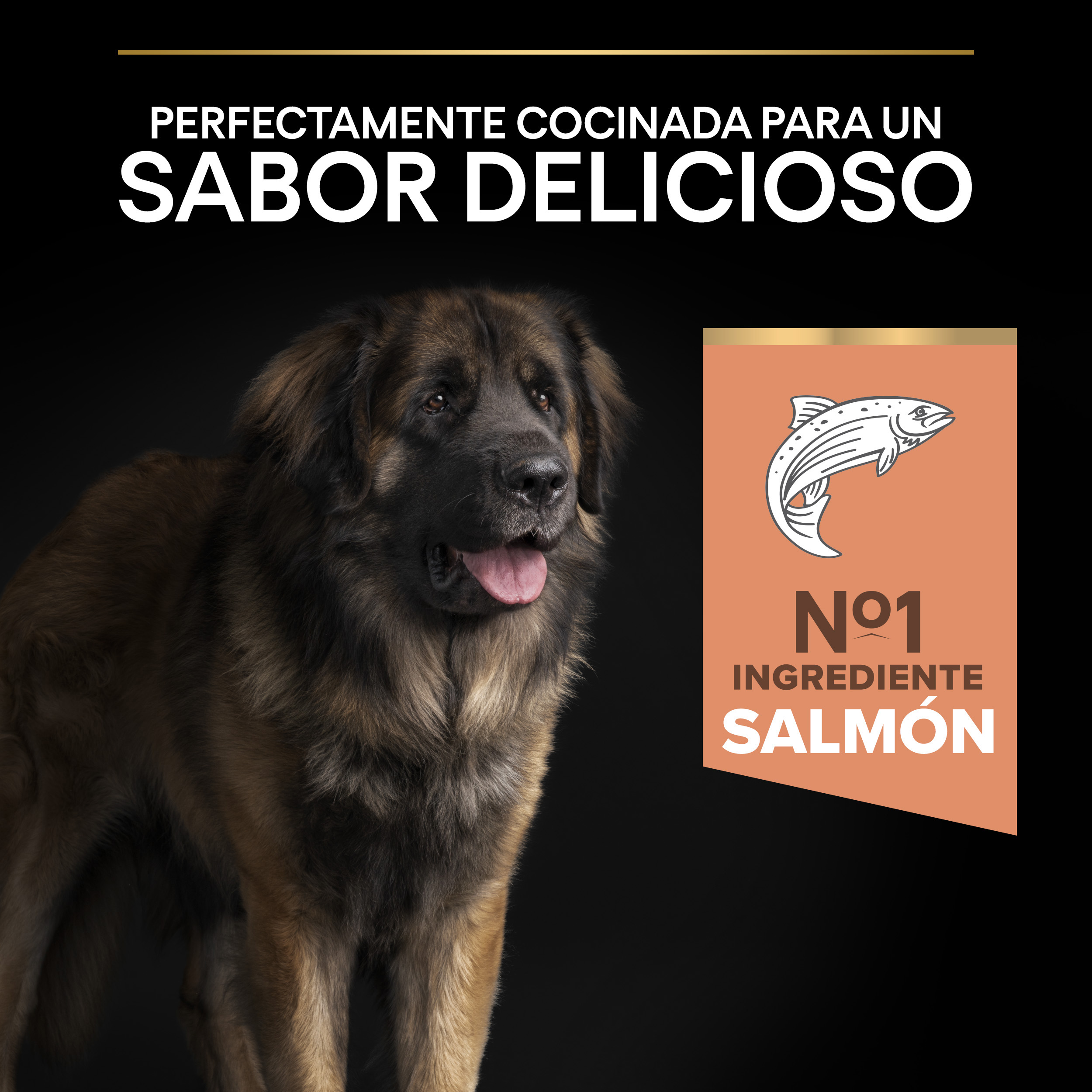 PURINA® PRO PLAN® Large Robust Adult SENSITIVE SKIN Salmón - Imagen 5