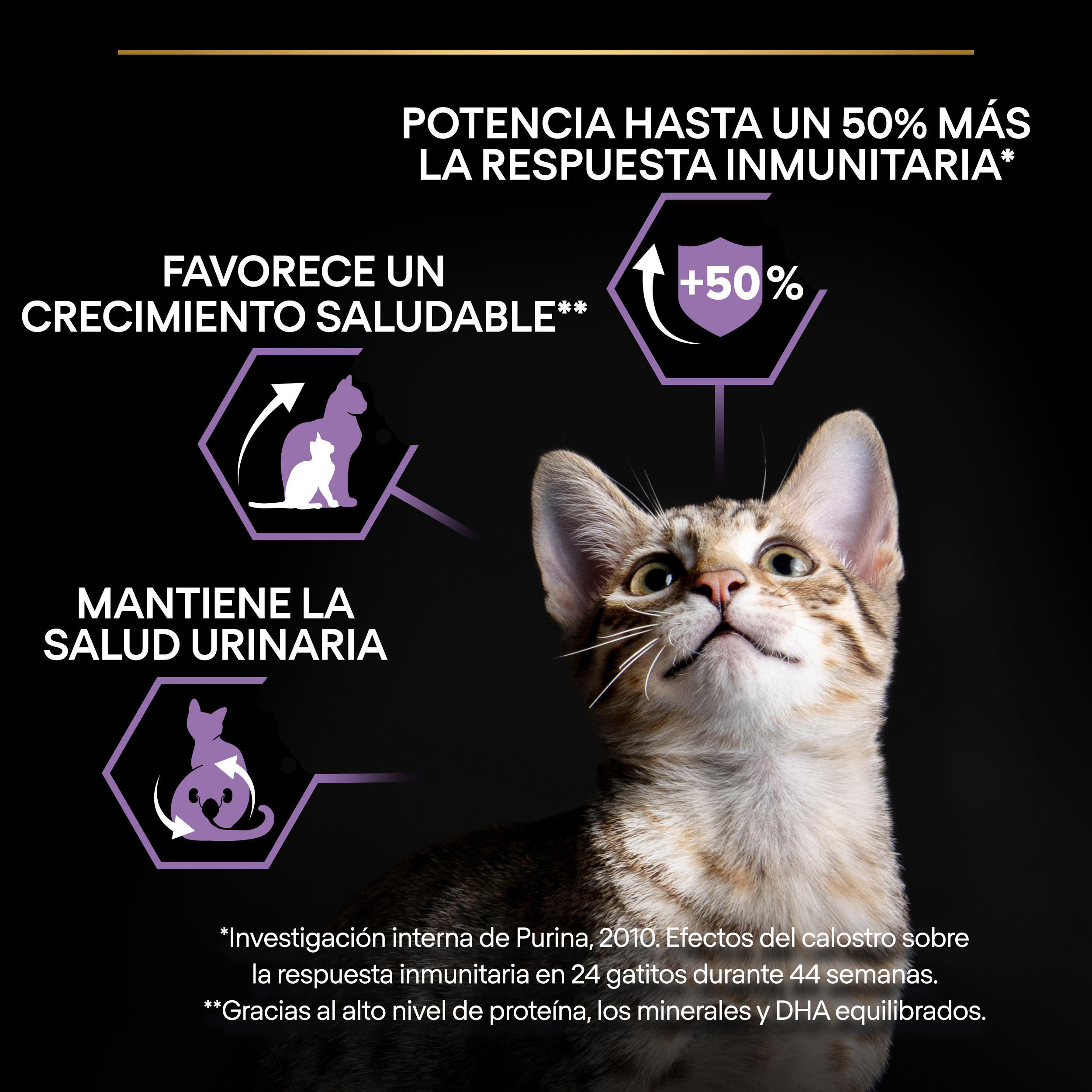 PURINA® PRO PLAN® Kitten HEALTHY START Pollo - Imagen 7