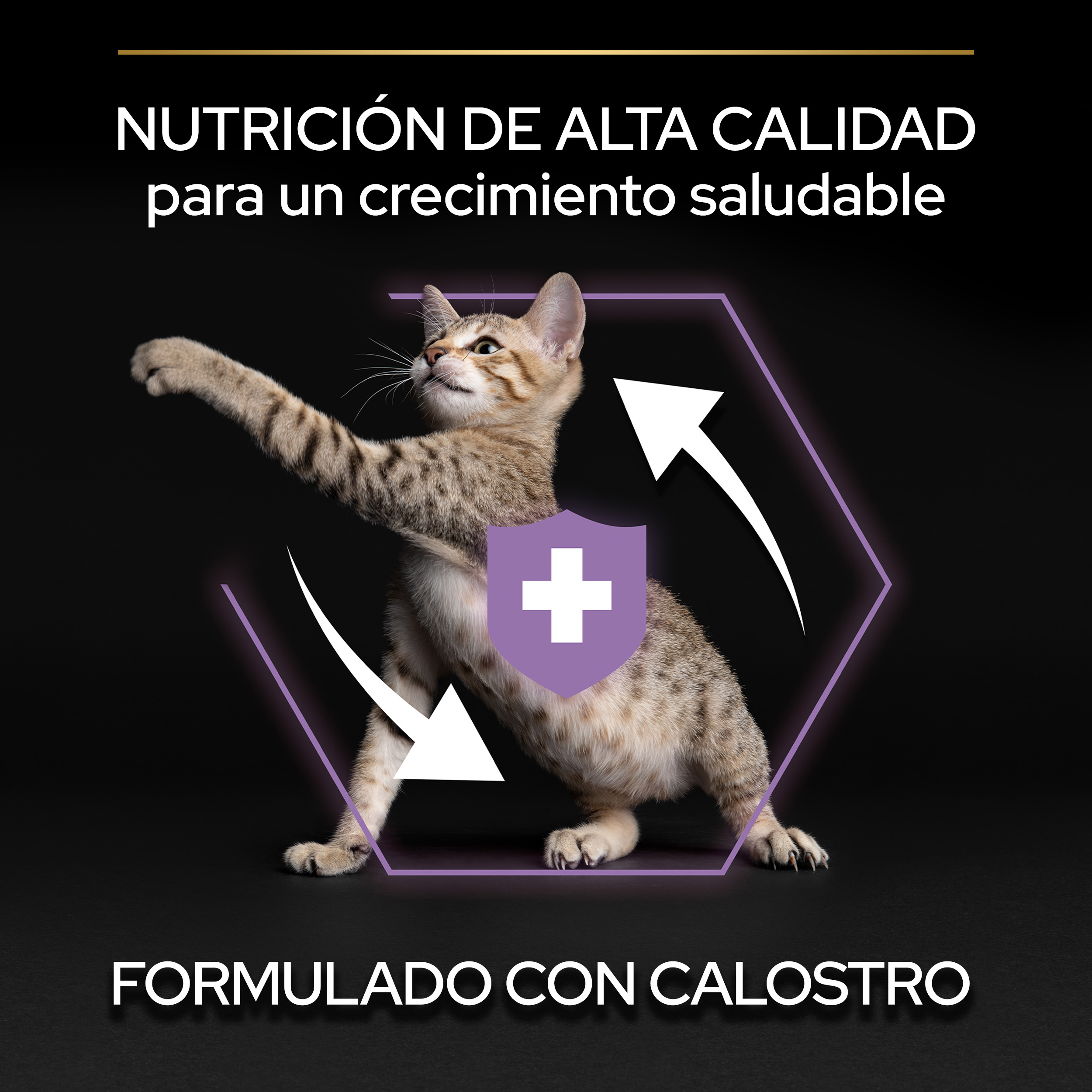 PURINA® PRO PLAN® Kitten HEALTHY START Pollo - Imagen 4