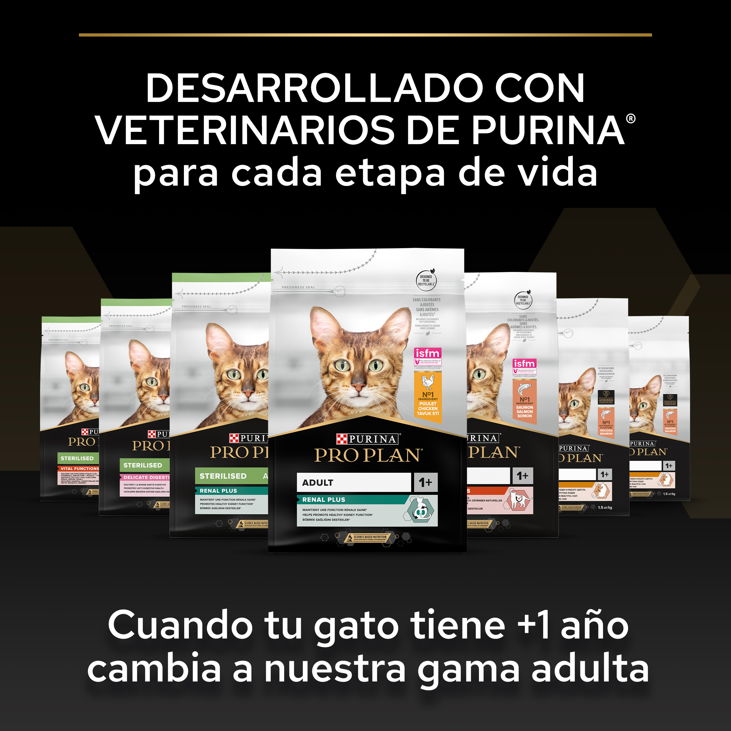 PURINA® PRO PLAN® Kitten HEALTHY START Pollo - Imagen 3