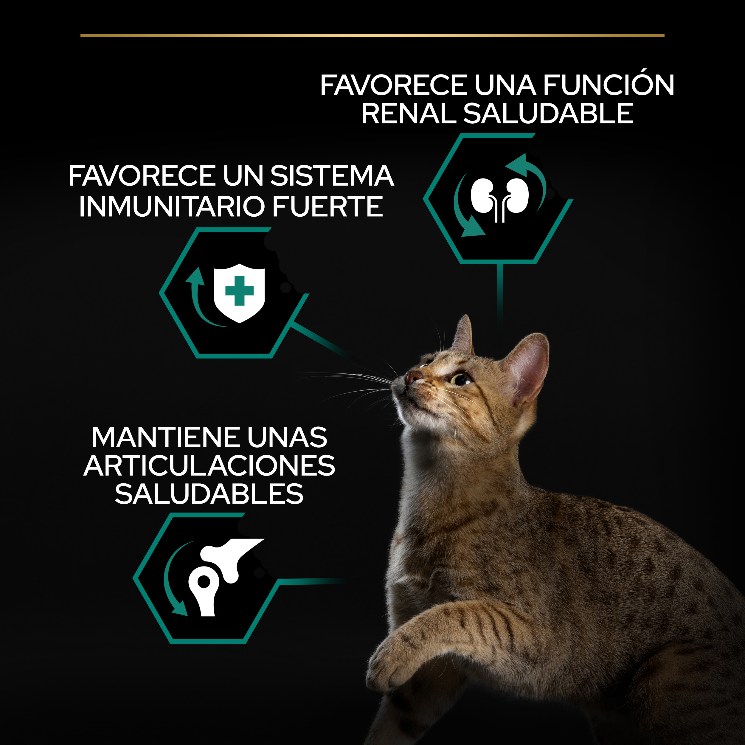 PURINA® PRO PLAN® Gato Adult 1+ RENAL PLUS Pollo - Imagen 7