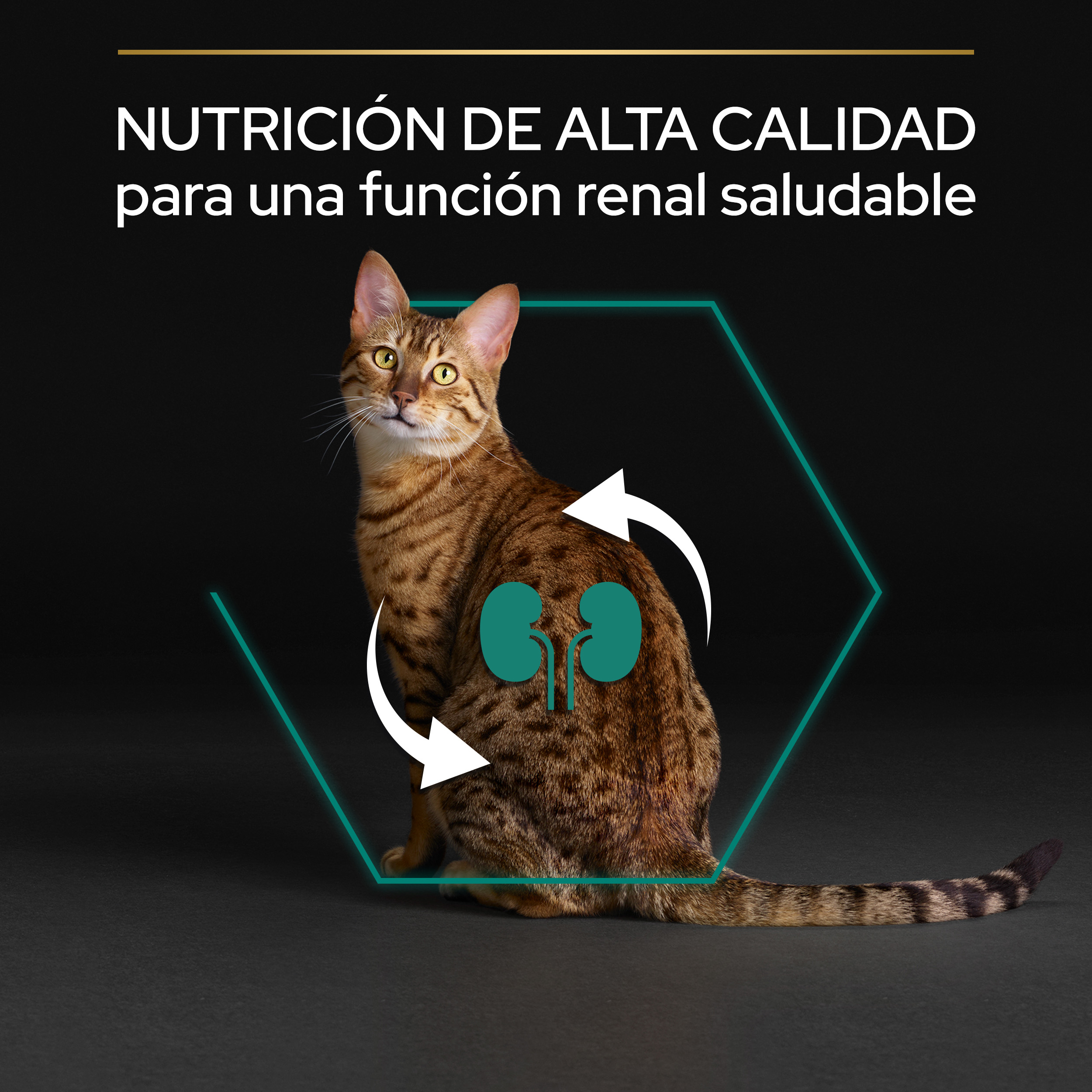 PURINA® PRO PLAN® Gato Adult 1+ RENAL PLUS Pollo - Imagen 4