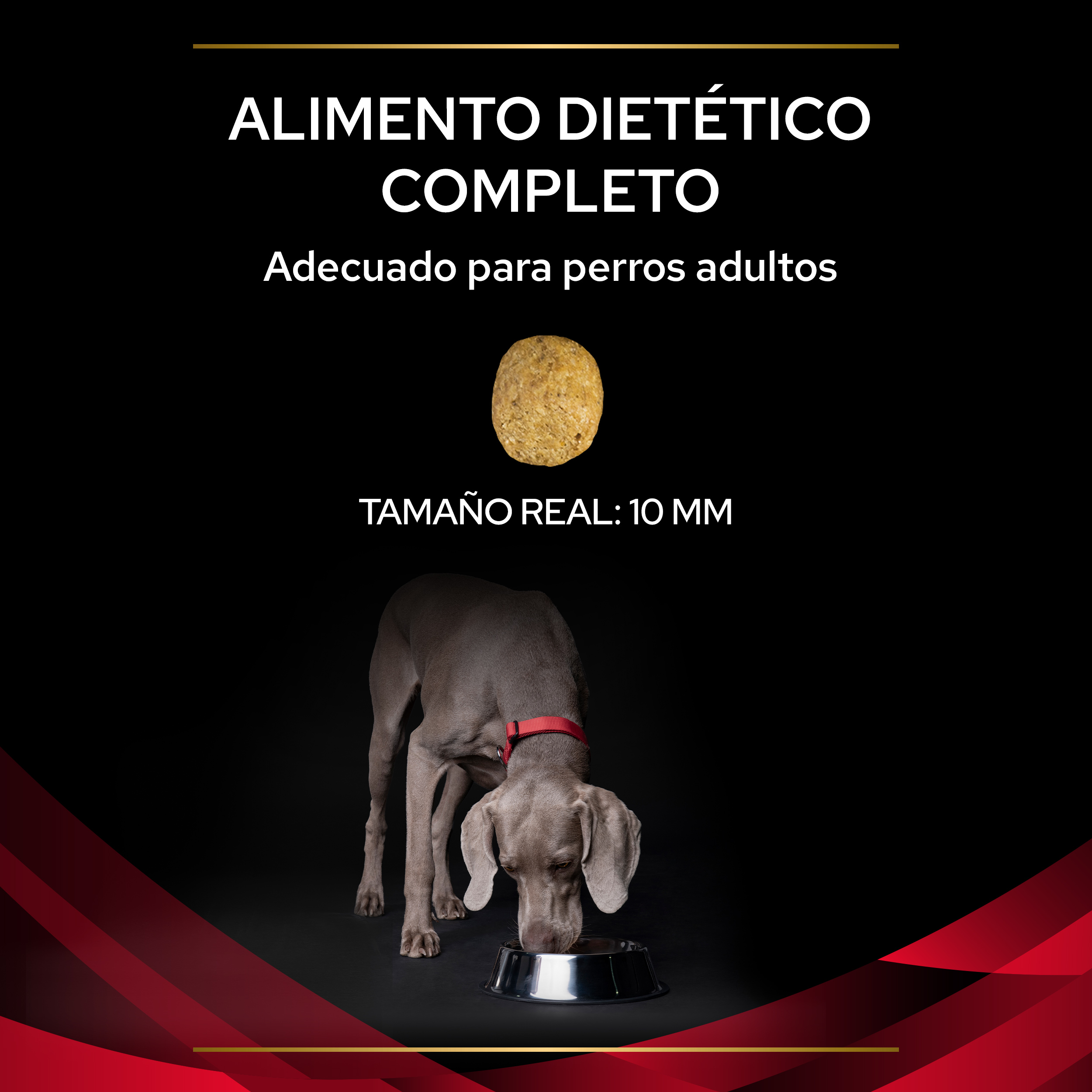 PRO PLAN VETERINARY DIETS CANINE DM Diabetes Management - Imagen 7