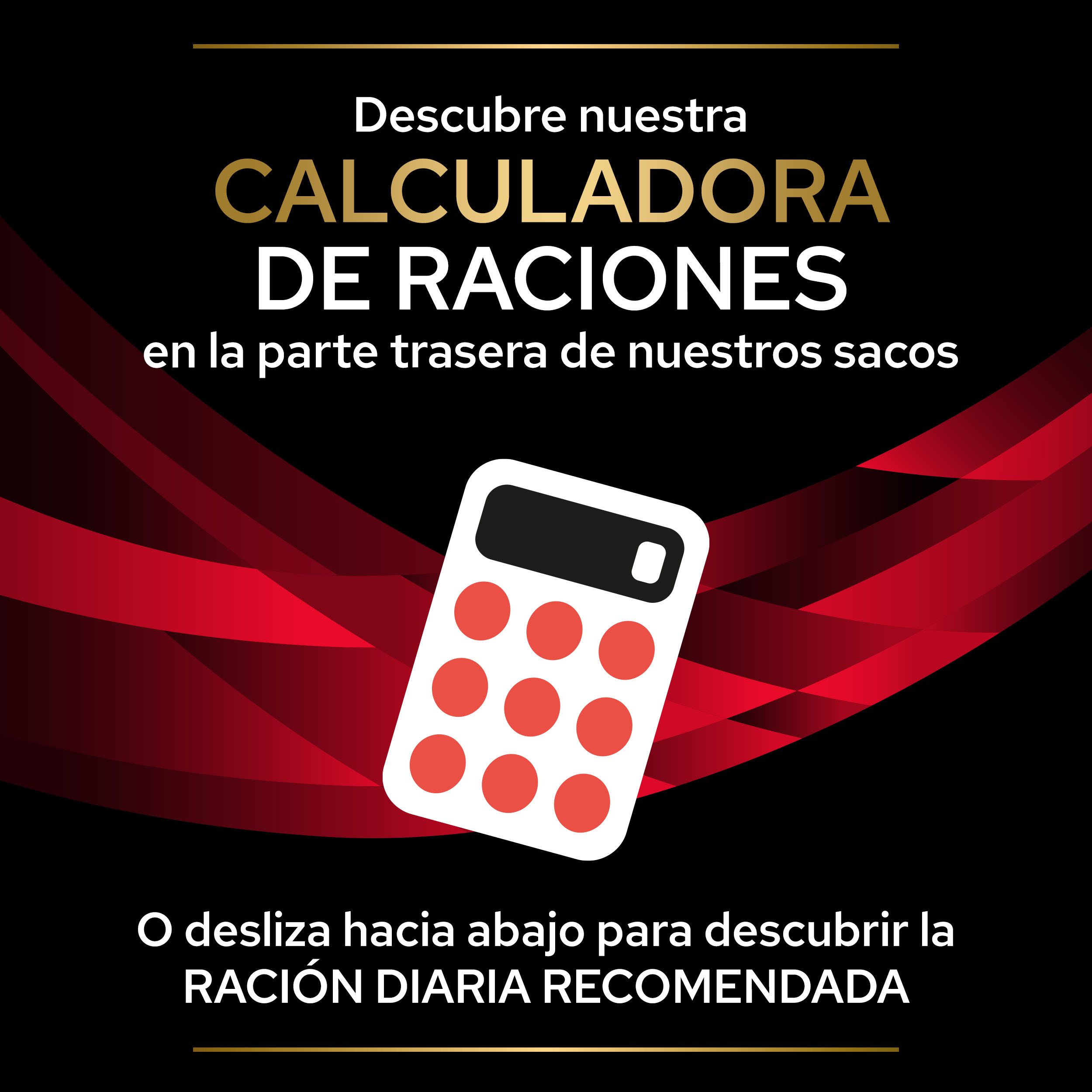 PRO PLAN VETERINARY DIETS CANINE DM Diabetes Management - Imagen 4