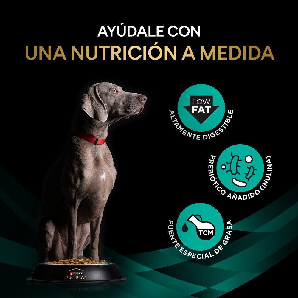 PRO PLAN VETERINARY DIETS CANINE EN Gastrointestinal Low Fat - Imagen 6