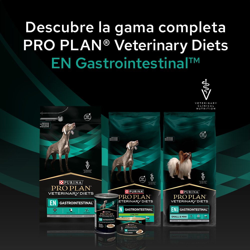 PRO PLAN VETERINARY DIETS CANINE EN Gastrointestinal Low Fat - Imagen 3