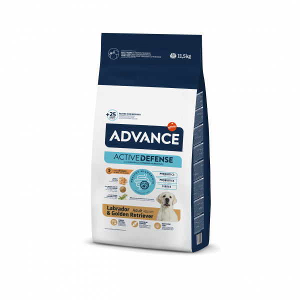 ADVANCE LABRADOR