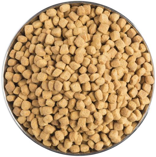 PRO PLAN VETERINARY DIETS FELINE OM Obesity Management - Imagen 2