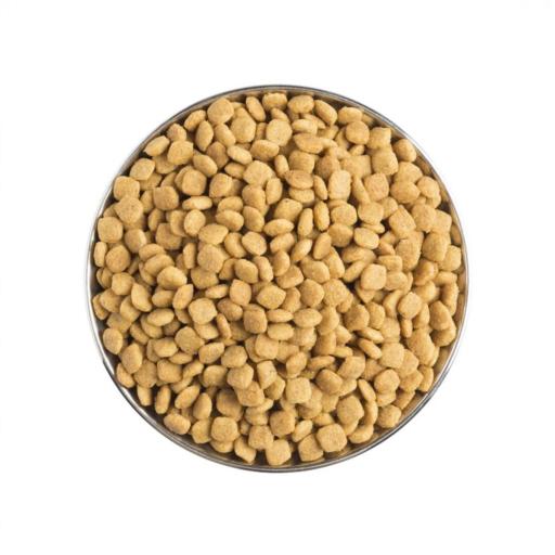 PRO PLAN VETERINARY DIETS FELINE NF Renal Function Advanced Care - Imagen 2