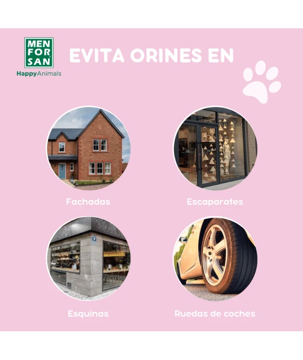 Antiorines perros y gatos 500ml - Imagen 3