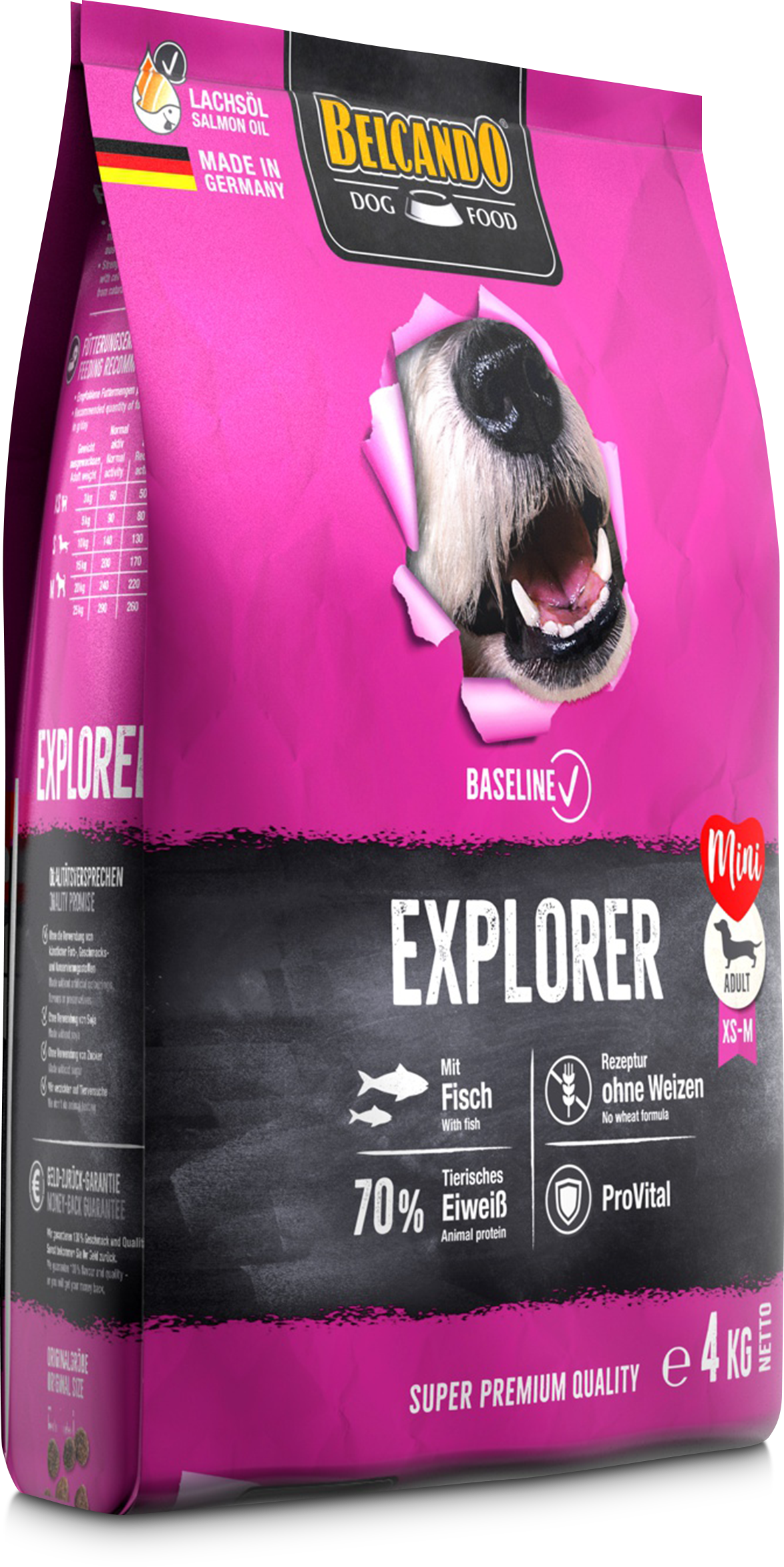 BELCANDO BASELINE EXPLORER - Imagen 4