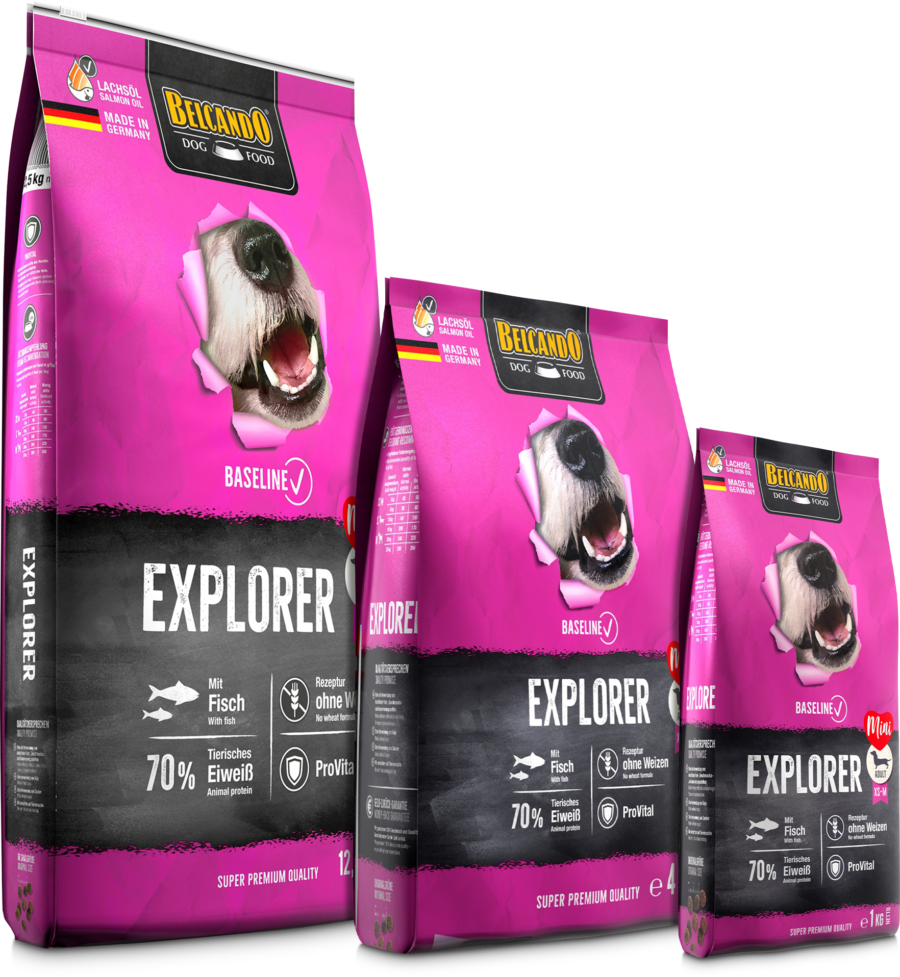 BELCANDO BASELINE EXPLORER