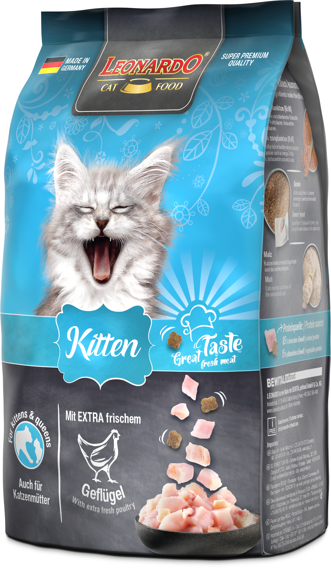 LEONARDO KITTEN - Imagen 3