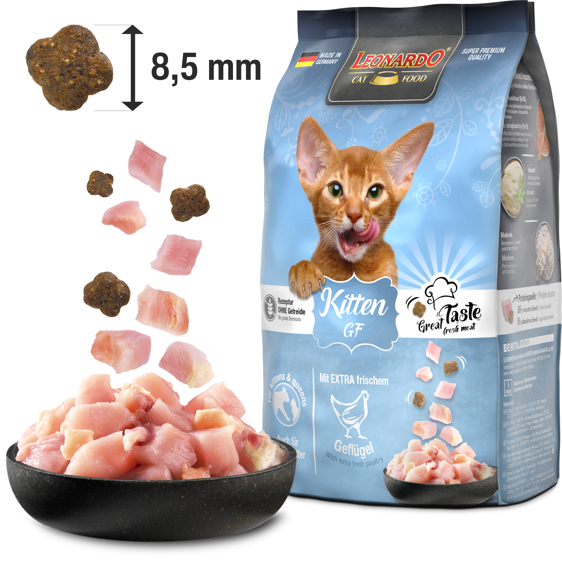 LEONARDO KITTEN GF - Imagen 2