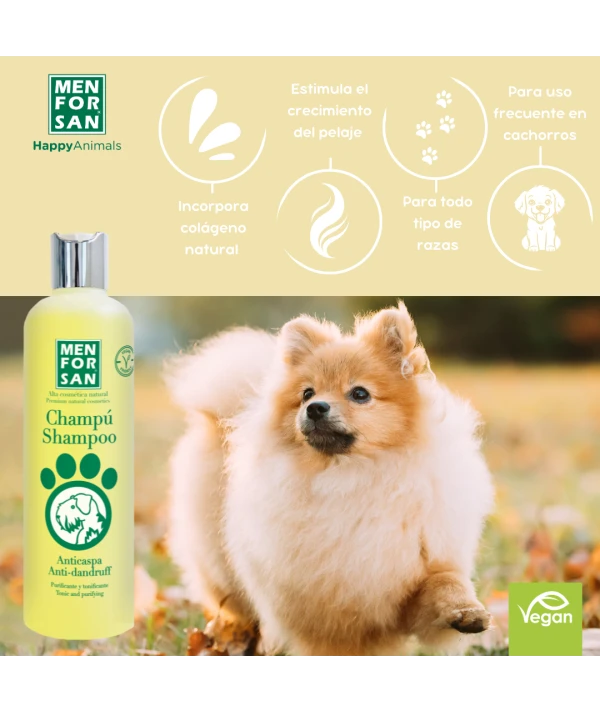 ChampĂș anticaspa 300ml - Imagen 2