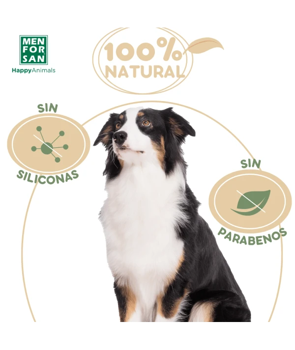 ChampĂș con avena 300ml - Imagen 4