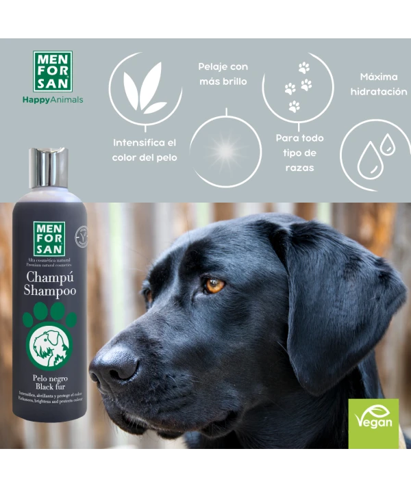 Champu pelo negro 300ml - Imagen 2