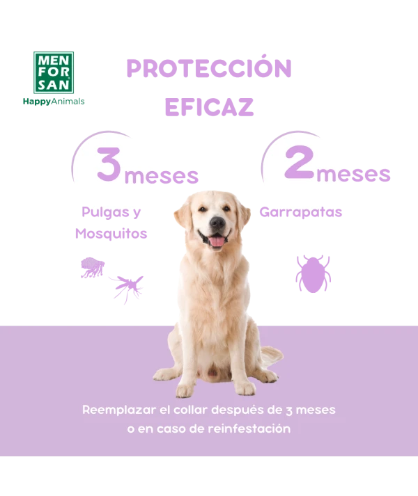 Collar Anti-insectos para razas medianas y grandes con margosa, geraniol y lavandino - Imagen 5