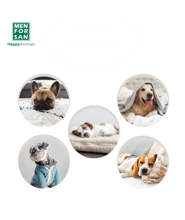 Detergente para ropa y cama de mascotas 1L - Imagen 5