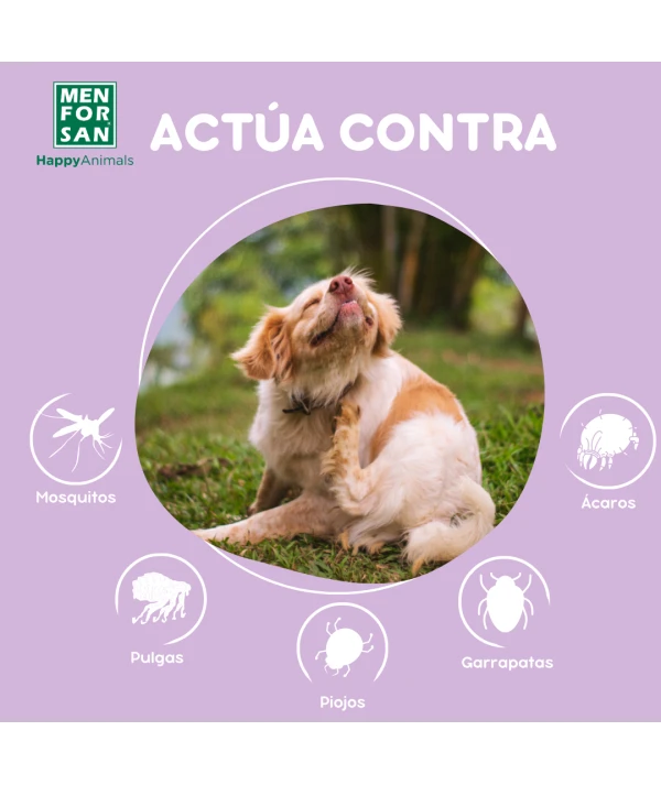 Pipetas Anti-insectos para perros con margosa, geraniol y lavandino - Imagen 2