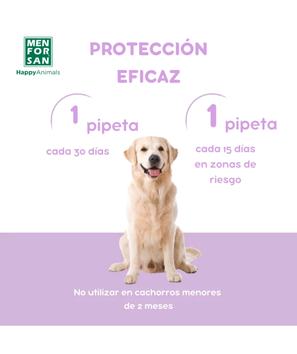 Pipetas Anti-insectos para perros con margosa, geraniol y lavandino - Imagen 5