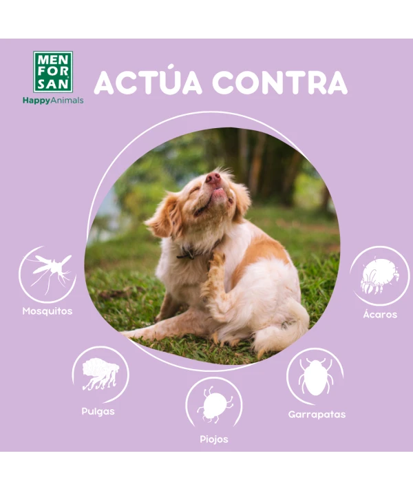 Spray Anti-insectos con margosa, geraniol y lavandino para perros - Imagen 3