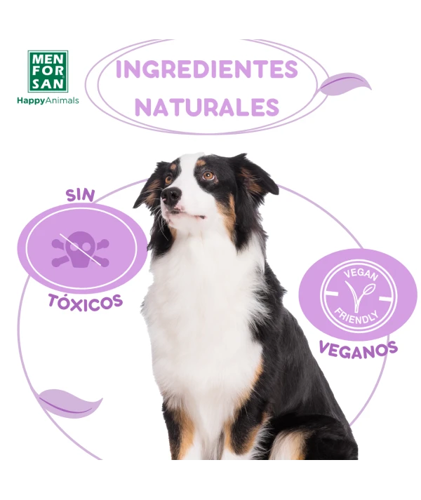 Spray Anti-insectos con margosa, geraniol y lavandino para perros - Imagen 5